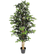 Blooming Artificial - Ficus Tree Artificial Plant, Large Fake Plant in Pot for House and Indoors, Year Round Decorative Realistic Faux Foliage (Green) (180cm/ 6ft)