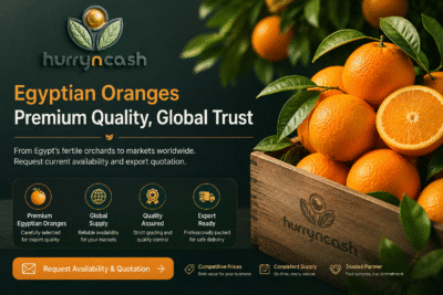 Hurryncash Egyptian oranges export inquiry – authentic Egyptian oranges for international buyers