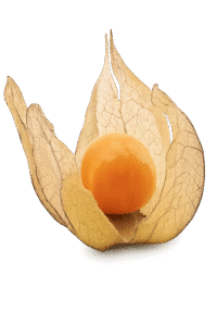 منصة حرنكش hurryncash